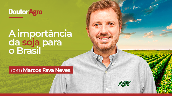 Soja - a importância dela para o Brasil - banner - plataforma de vídeos do agronegócio - Agroflix